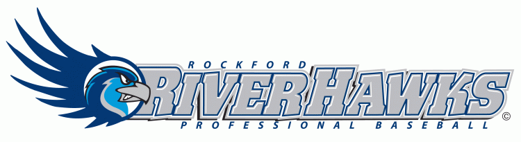 Rockford Riverhawks 2007-Pres Wordmark Logo iron on transfers for clothing